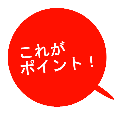 これがポイント！
